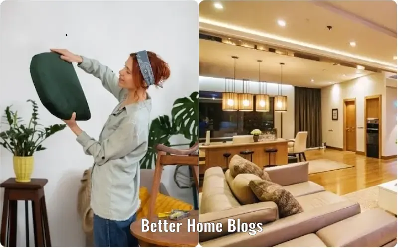 decoradhouse renovation tips from decoratoradvice